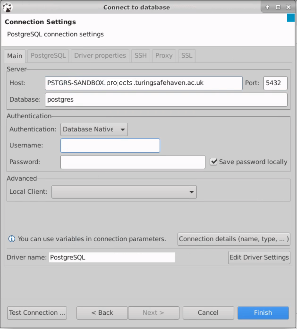 DBeaver connection details for PostgreSQL