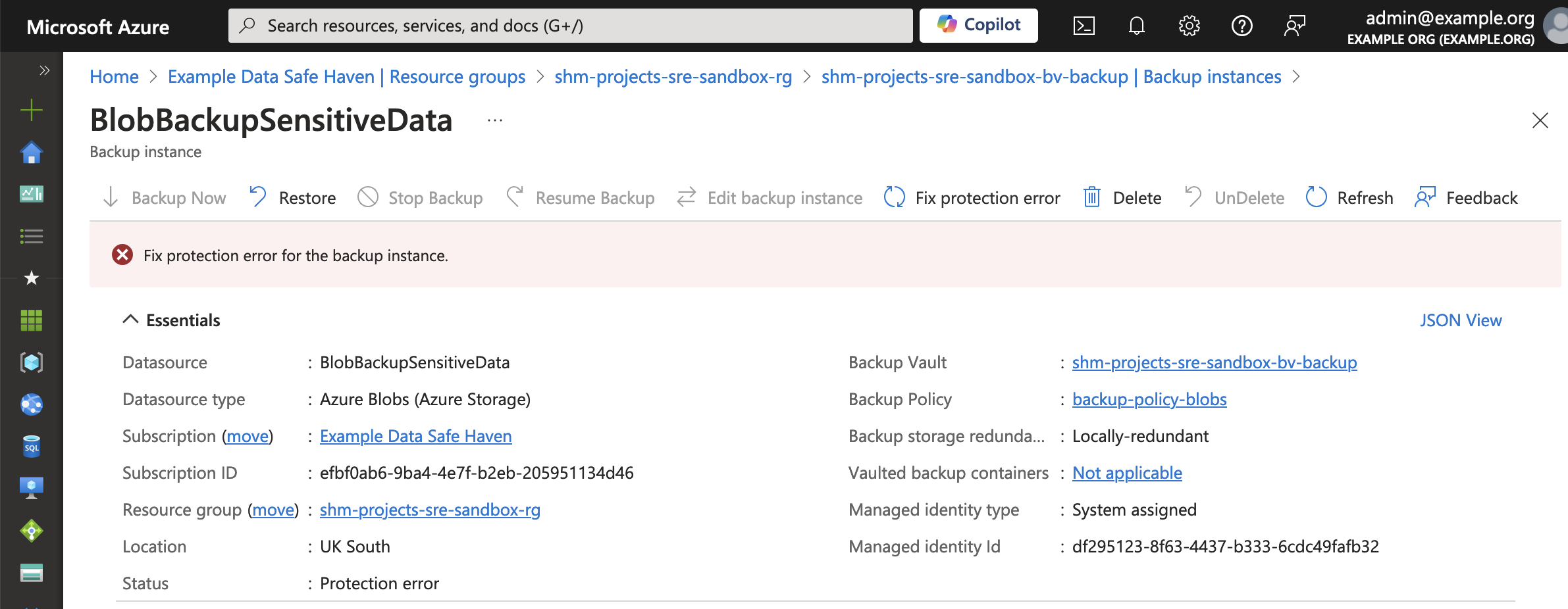 Fix protection error for the backup instance